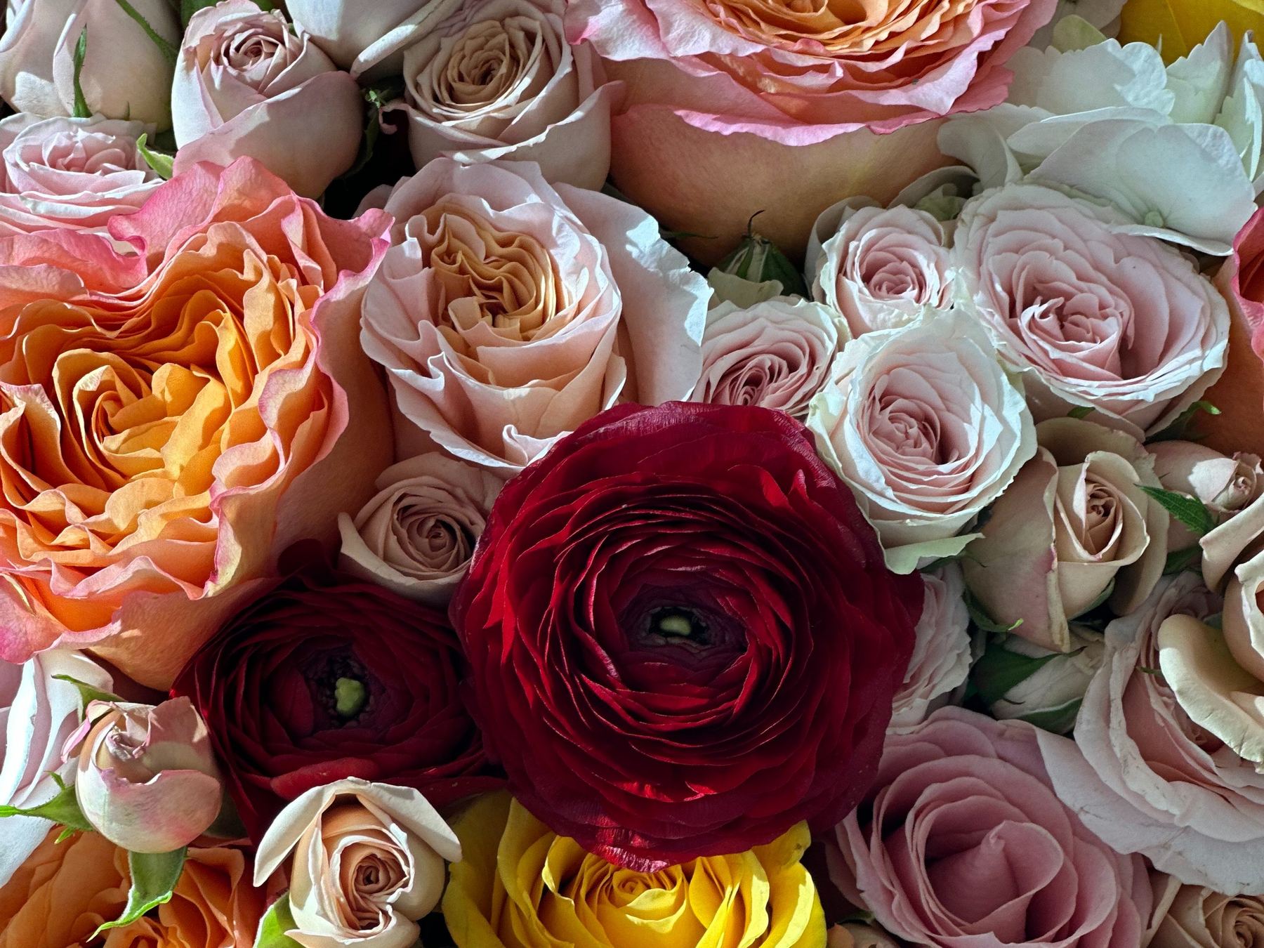 Garden roses and ranunculus in autumn tones by Coral Path Designs