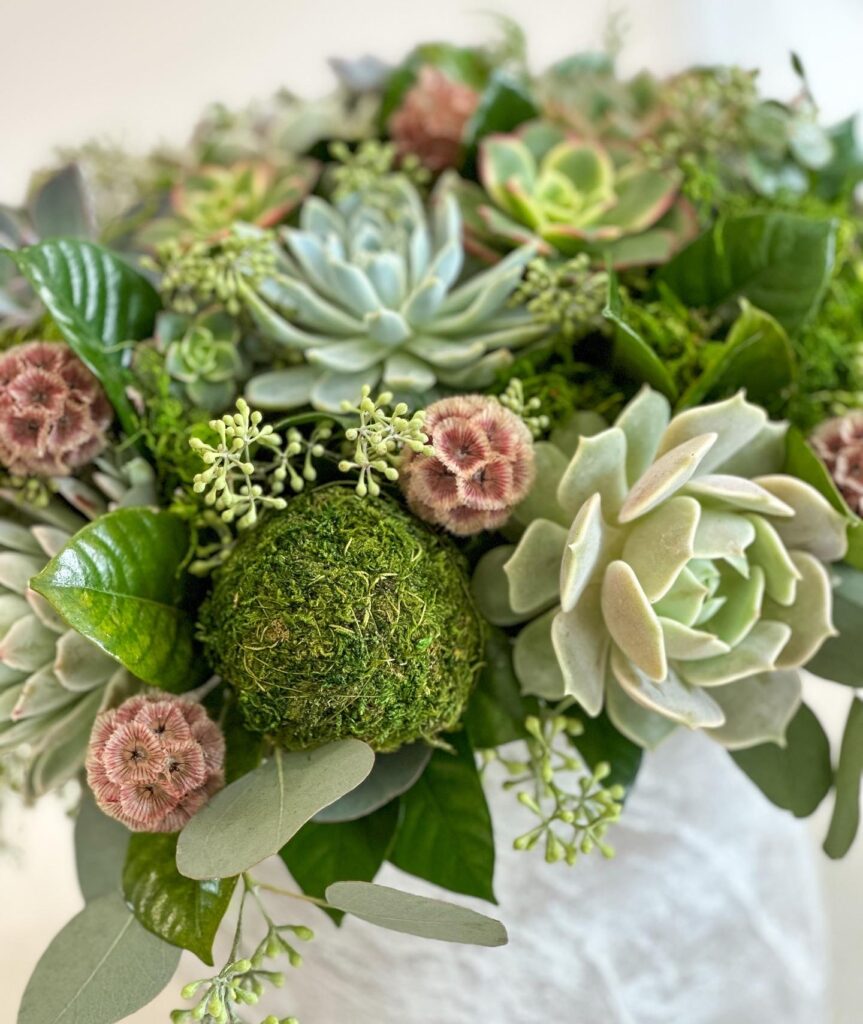 Preserva a la Beton Coral Path Designs Flower Delivery Los Angeles