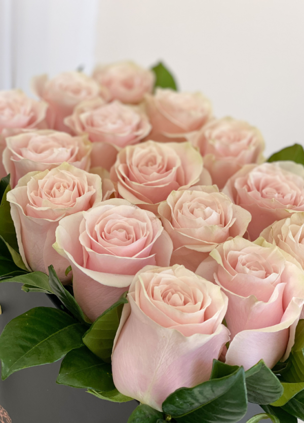 Pastel Pink roses neatly arranged in a flower bag close-up.