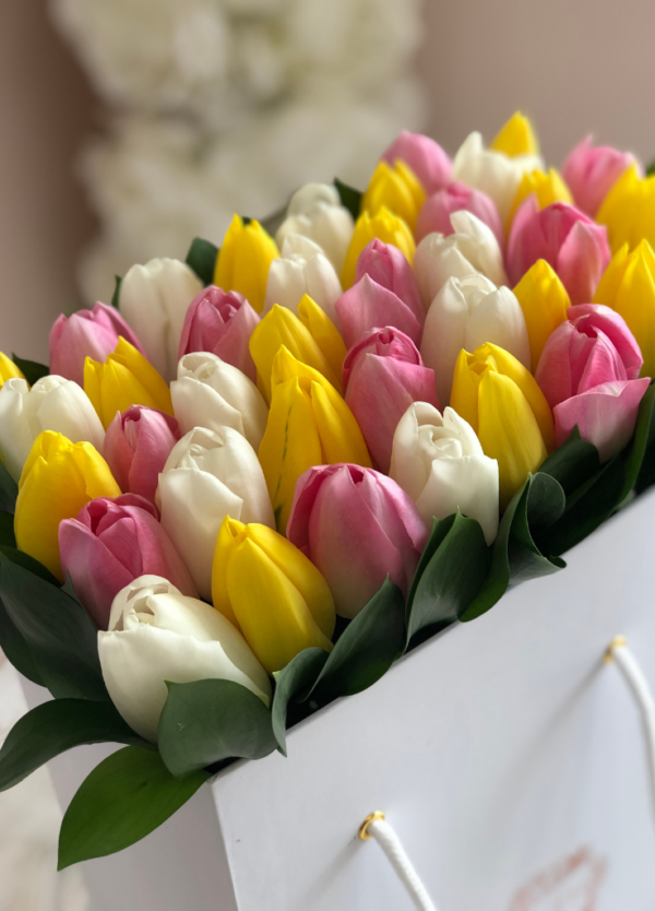 Tulips neatly arranged in a box.