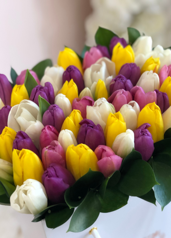 Tulips neatly arranged in a box.