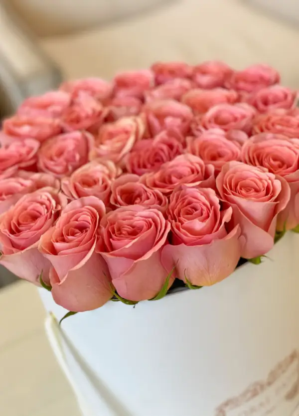 Coral roses arranged in a hat box