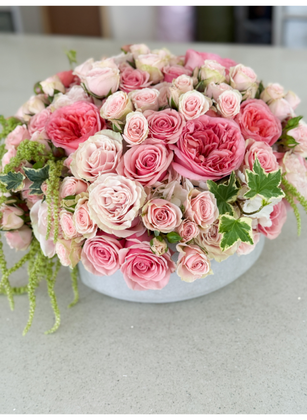 coral garden roses in a concrete bowl
