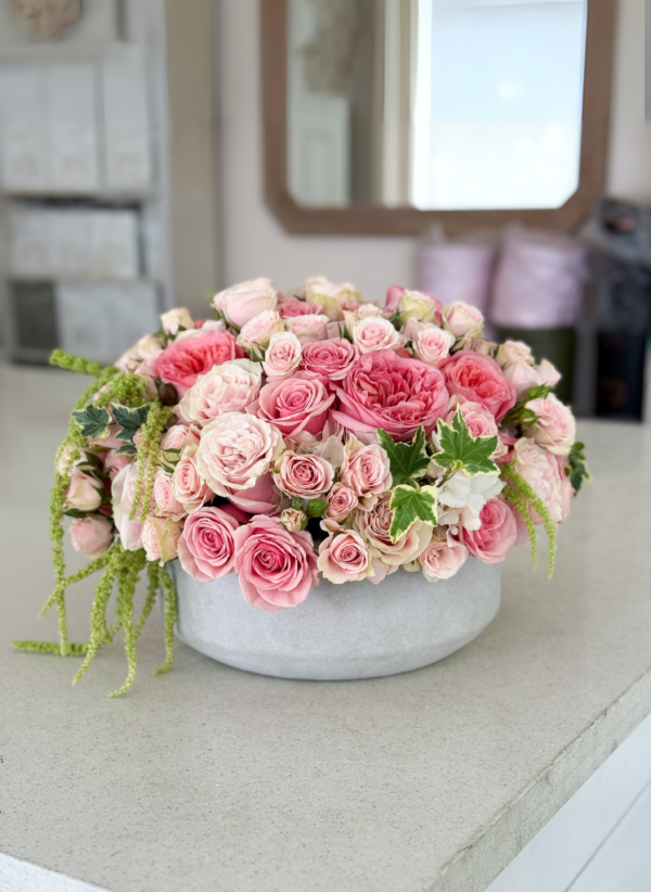coral garden roses in a concrete bowl